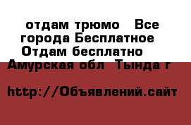 отдам трюмо - Все города Бесплатное » Отдам бесплатно   . Амурская обл.,Тында г.